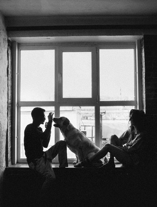 Telefone Veterinario ABC